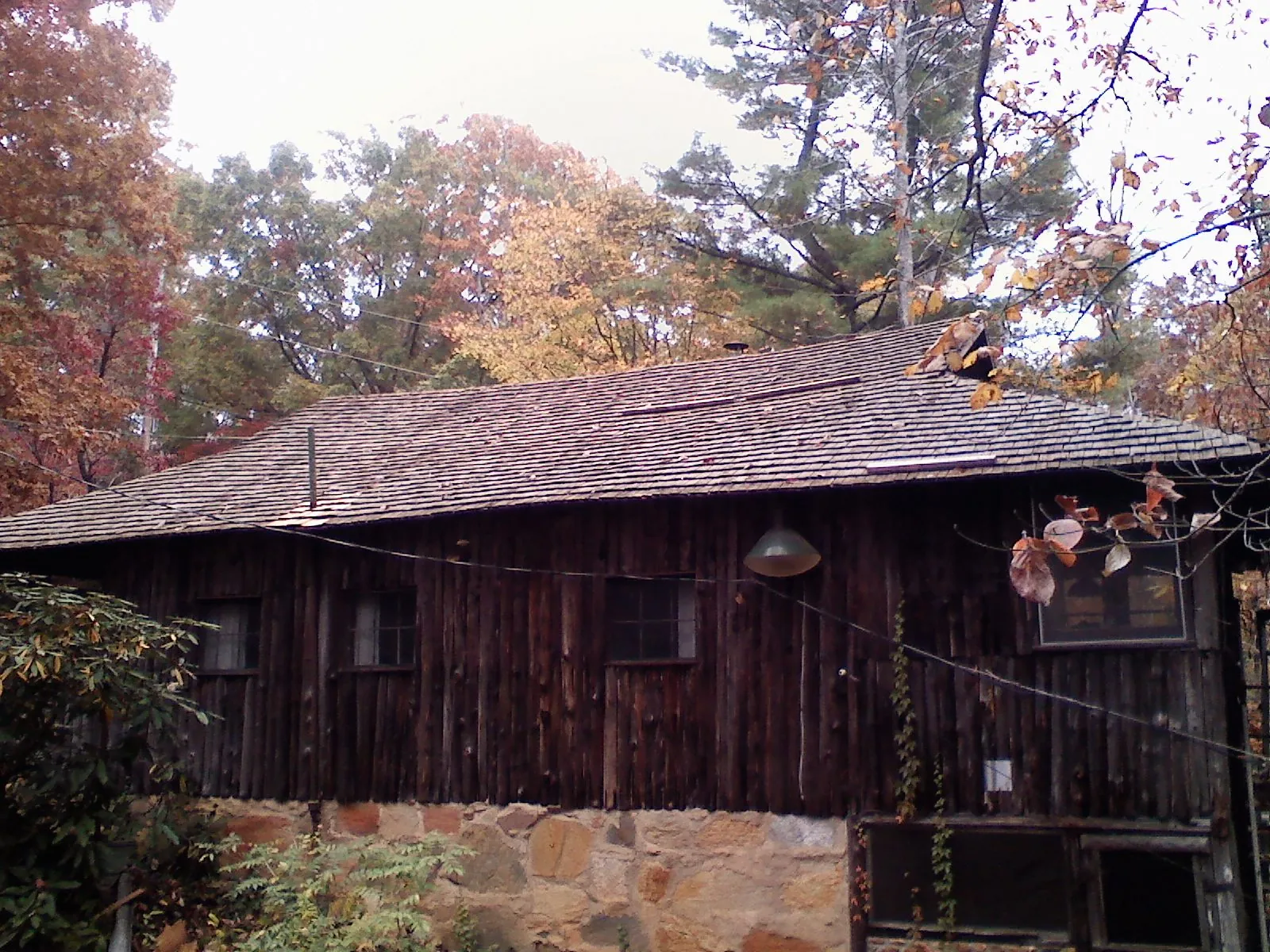 Weathered wood shake roof on a rustic board sided cabin in South Yarmouth
