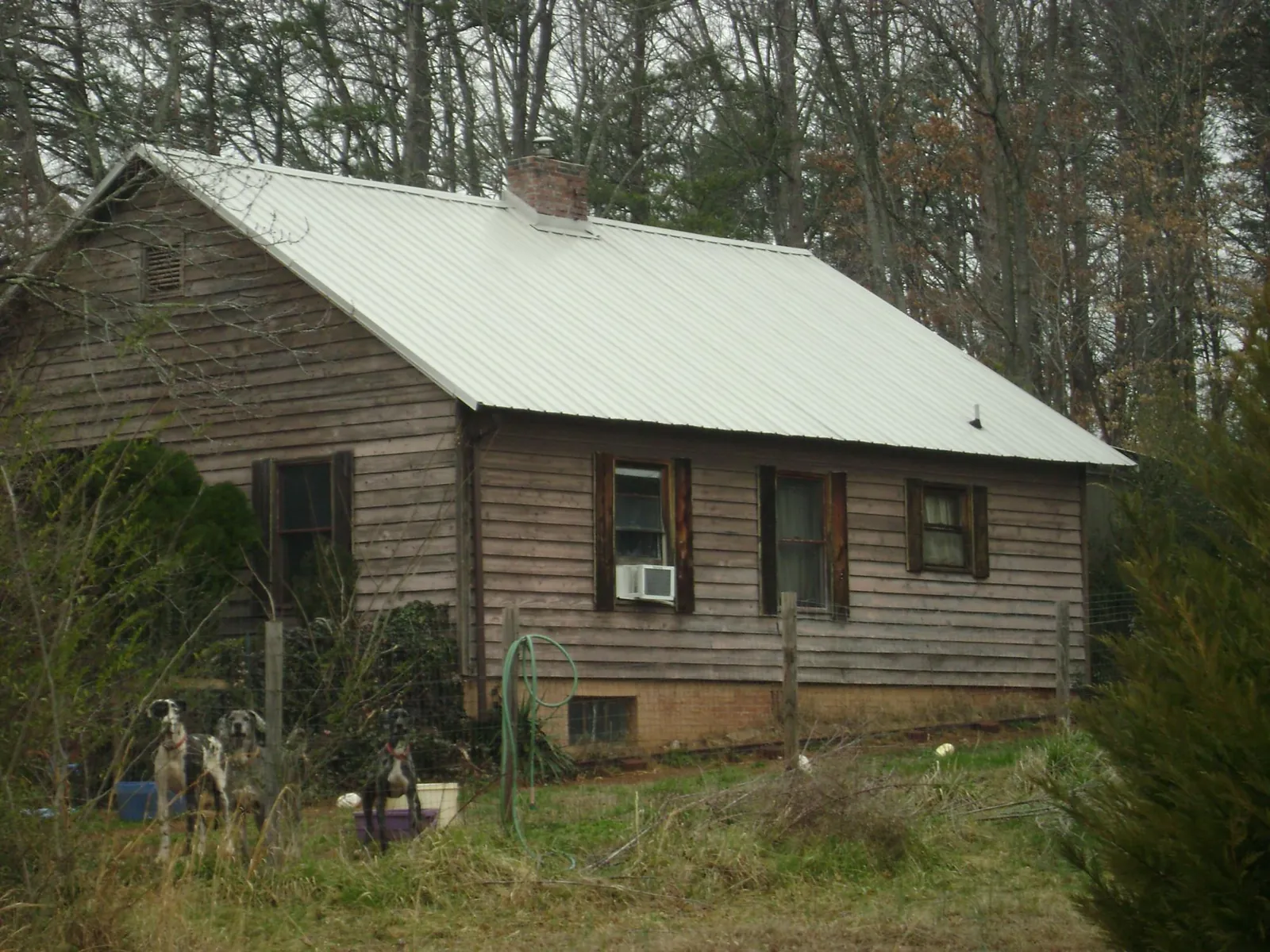 White metal roof on an old wood sided farmhouse, from a Asphalt Shingle Roof Repair job in South Yarmouth
